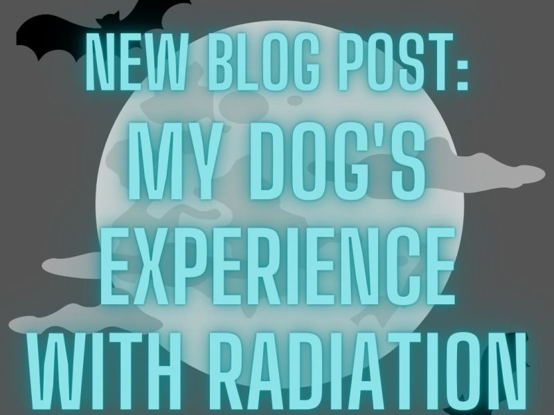 My Dog’s Experience with&nbsp;Radiation