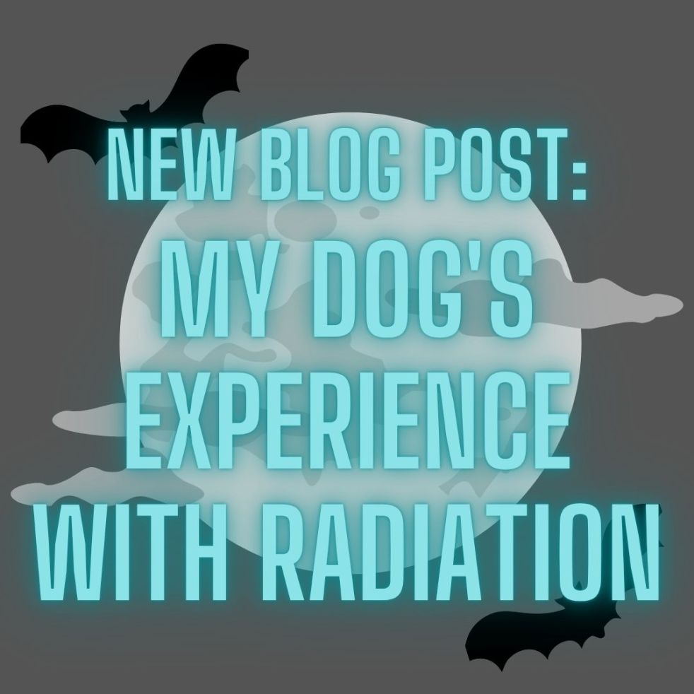 new blog post: My Dog's Experience with Radiation